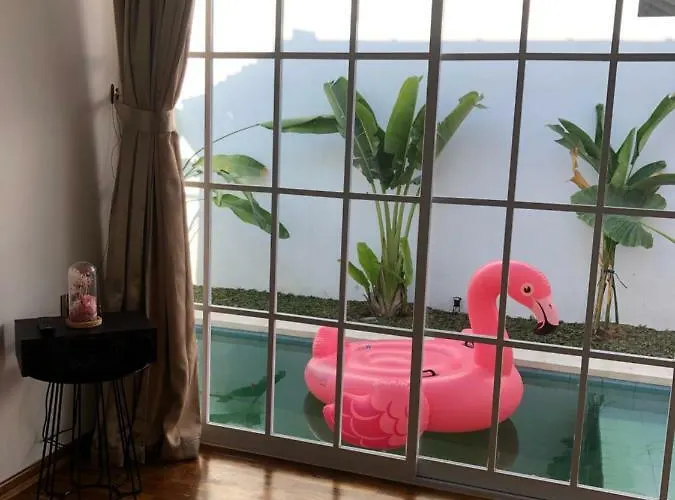 Hikari Bali *